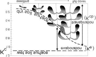! Εδαφική εξάτμιση Η επίδραση της εξάτμισης στον συντελεστή K c απεικονίζεται στο Σχήμα 13. Η οριζόντια γραμμή αντιπροσωπεύει τον συντελεστή K c όταν η εδαφική επιφάνεια διατηρείται συνεχώς υγρή.