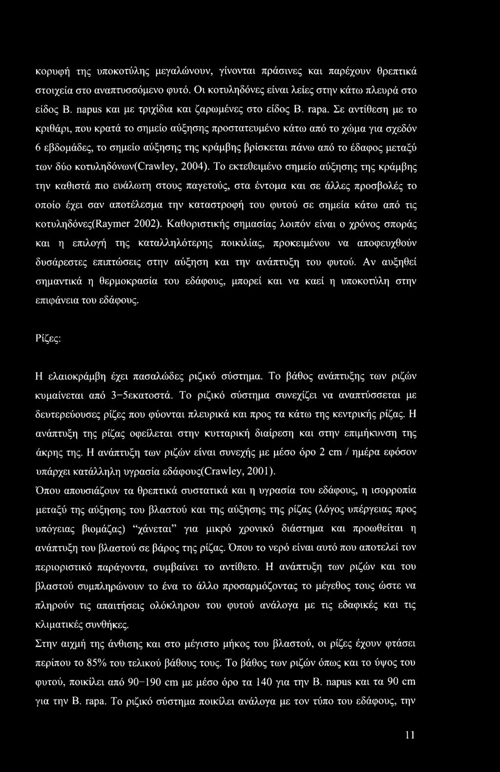 Σε αντίθεση με το κριθάρι, που κρατά το σημείο αύξησης προστατευμένο κάτω από το χώμα για σχεδόν 6 εβδομάδες, το σημείο αύξησης της κράμβης βρίσκεται πάνω από το έδαφος μεταξύ των δύο