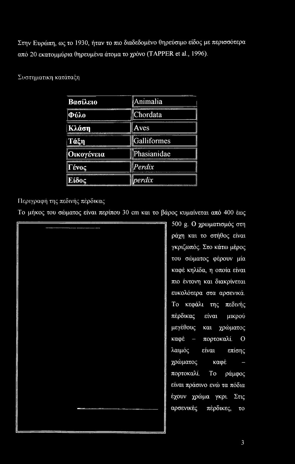 Ο χρωματισμός στη ράχη και το στήθος είναι γκριζωπός.