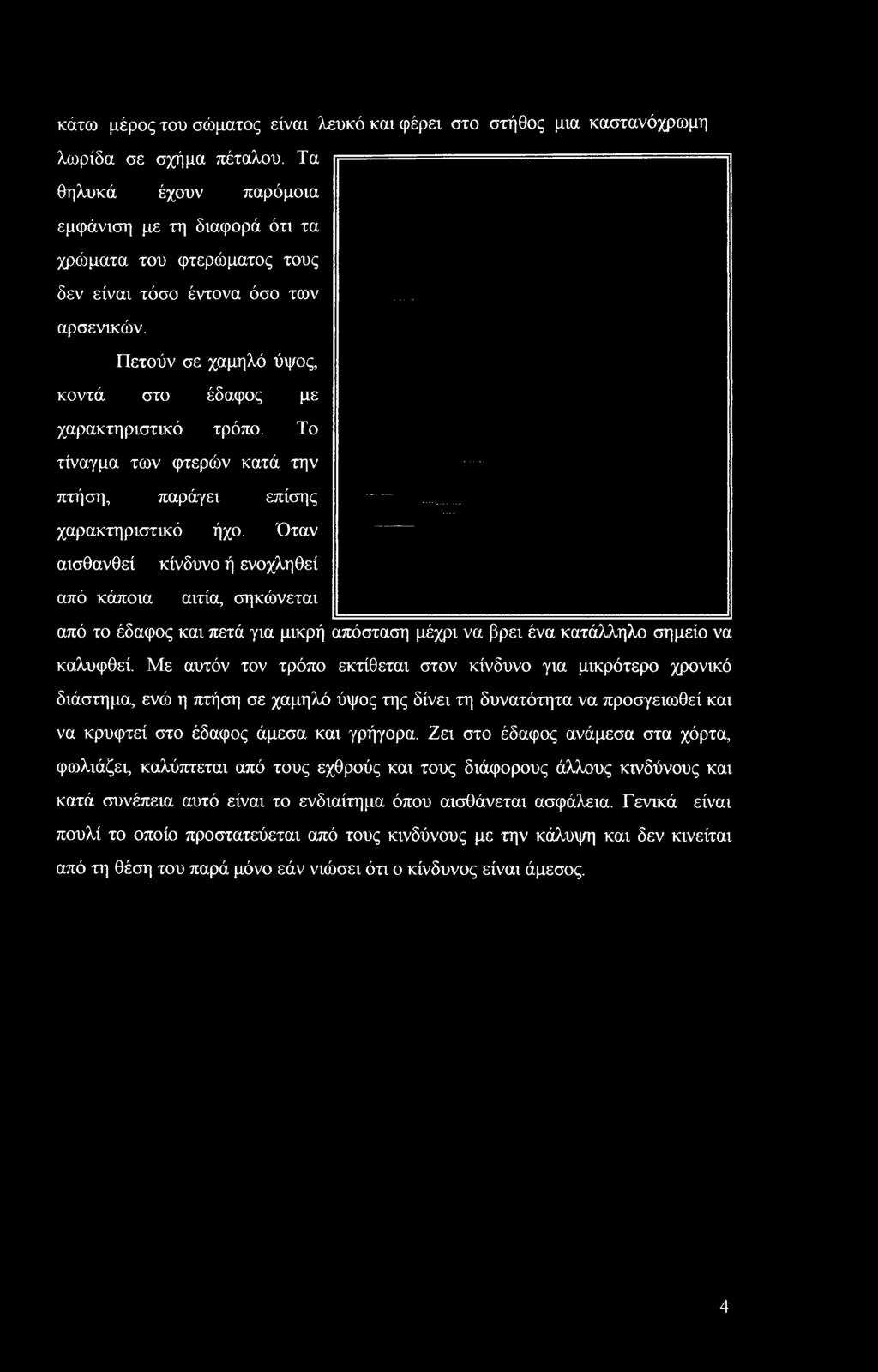 Με αυτόν τον τρόπο εκτίθεται στον κίνδυνο για μικρότερο χρονικό διάστημα, ενώ η πτήση σε χαμηλό ύψος της δίνει τη δυνατότητα να προσγειωθεί και να κρυφτεί στο έδαφος άμεσα