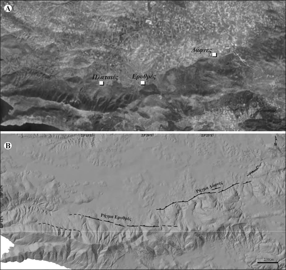 Τεκτονική ΚΕΦAΛΑΙΟ 4 υποθέσουμε ότι η δράση του ρήγματος αρχίζει στο Κατώτερο Πλειόκαινο τότε προκύπτει μια μέση σχετική ταχύτητα κίνησης των ρηξιγενών τεμαχών, της τάξης των ~0.04 mm/yr. 4.3.