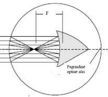 Matavimų procedūros: 2.1. Įjunkite šviesos šaltinį ir pasiekite, kad spinduliai kristų išilgai įgaubtojo veidrodžio pagrindinės optinės ašies (4 pav. (b)) 2.2. Pieštuku, popieriaus lape, pažymėkite židinio (spindulių susikirtimo) tašką ir tašką, kuriame pagrindinė optinė ašis (centrinis spindulys) kerta įgaubtą veidrodžio paviršių.