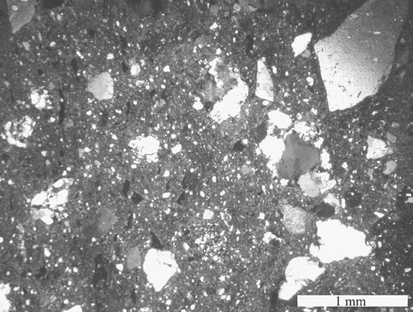 7 : Κεραμική ύλη με χαλαζίτη, μικριτικό ασβεστόλιθο, χαλαζία και απολιθώματα (x25) ακτής στην περιοχή του Σταυρωμένου