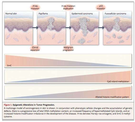 gene promoter-associated