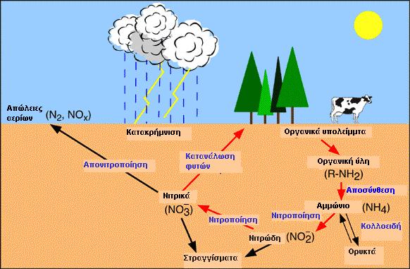 Κύκλος