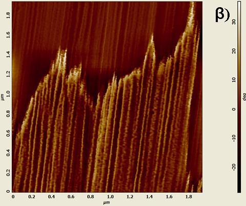 Height (nm) 22 20 18 16 14 12 10 8 6 4 2 0 0.0 0.5 1.0 1.5 2.0 Plane (μm) γ) Σχ. 6.4.4 : (α) Τοπογραφική εικόνα μικροσκοπίας AFM στο άκρο του 3D- PTFE /SS (T=350 o C) μετά το FT, σε υποπεριοχή εκείνης που απεικονίζεται στο Σχ.