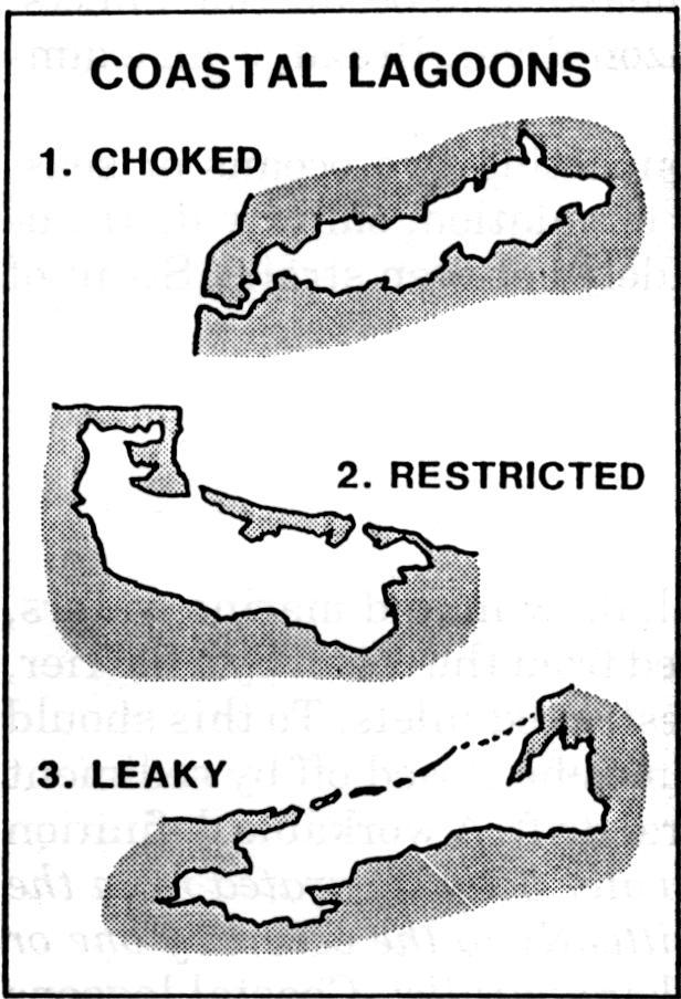 Σύμφωνα με τον Kjerfve (1986), οι παράκτιες λιμνοθάλασσες διακρίνονται σε τρείς γεωμορφικούς τύπους, με κριτήριο τη δυνατότητα ανταλλαγής του νερού της λιμνοθάλασσας με την ανοικτή θάλασσα (Εικόνα 1.