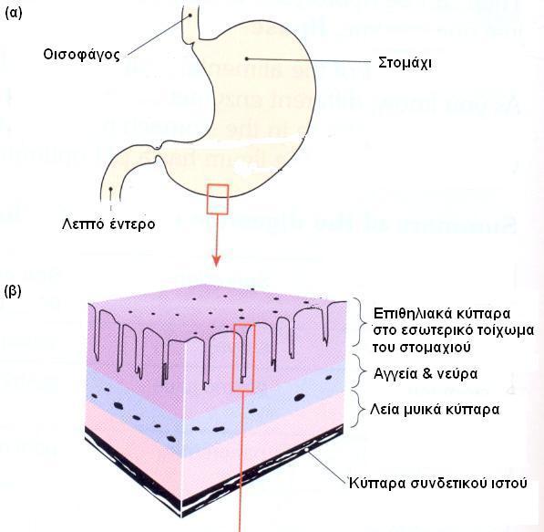 Ας ρίξουμε μια ματιά