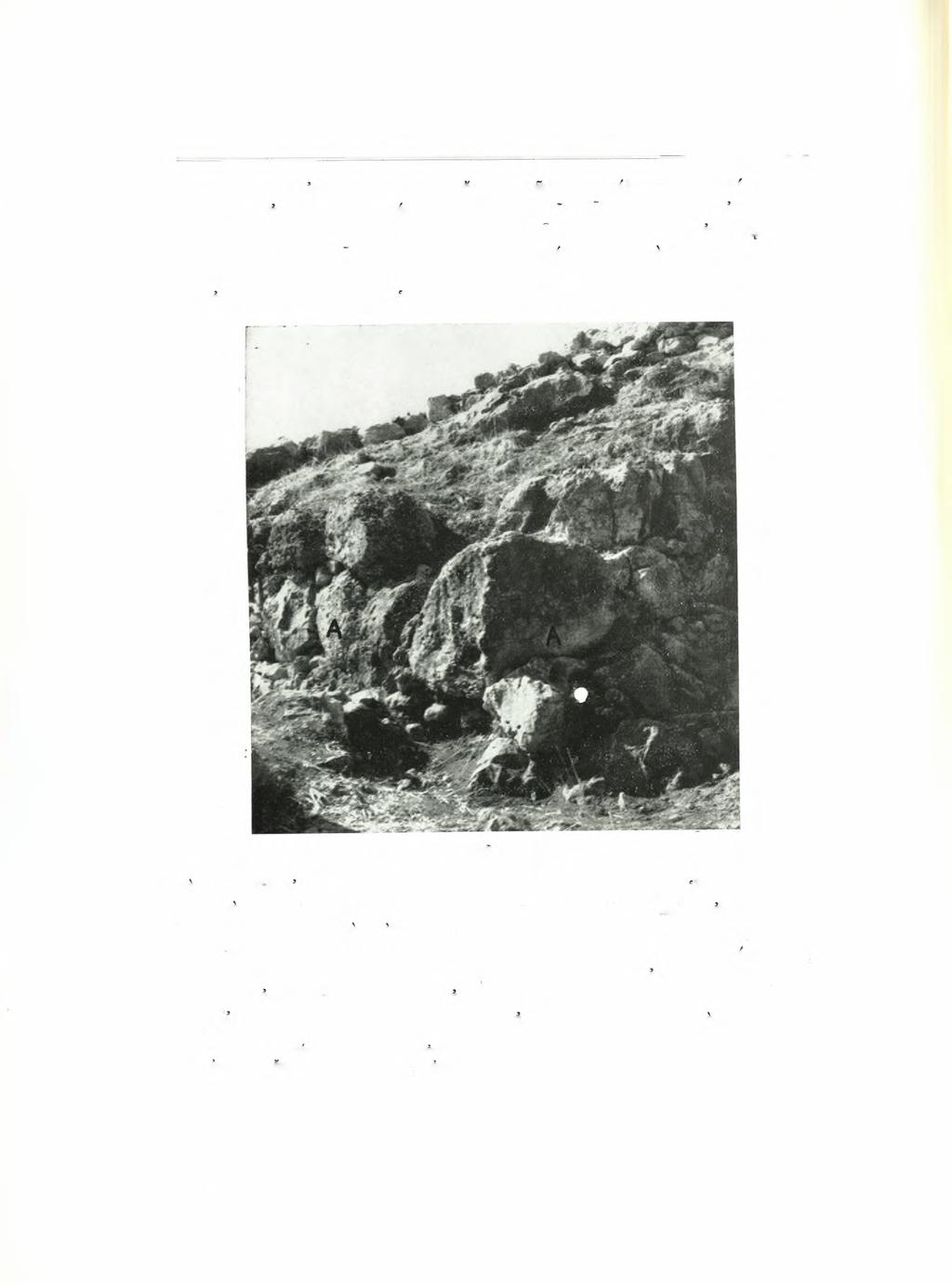 174 Γεωργίου Ε. Μυλωνά ΑΕ 1962 διασώζονται δέ εις μήκος 9 μ.1. Οί άνωθεν των τιτανόλιθων τούτων δομοι σχηματίζονται από πολύ μικρότερους λίθους, οί όποιοι είναι τεθειμένοι εις γραμμήν διάφορόν πως τής τών κατωτέρων δόμων.