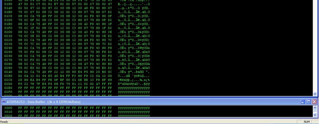 (Lock bits) kojima se softverski štiti kod, programiranje (upis) koda (Write), verifikaciju (Verification) itd.