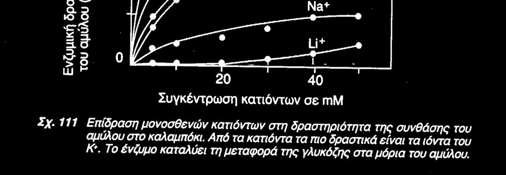 εισαγάγετε ξανά.