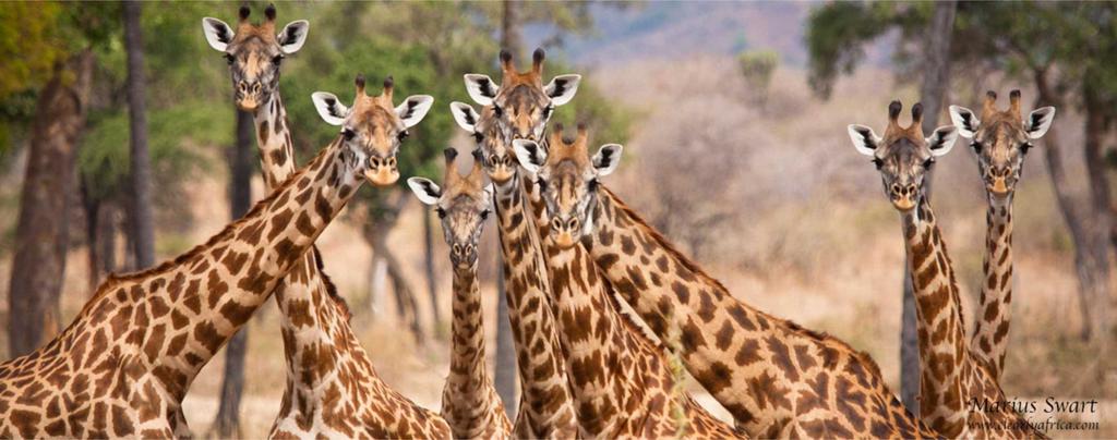 Lakes & Caldera safari 3 nights & Zanzibar 4 nights Departs daily Minimum 2 participants Itinerary Day 01 Arrive to Kilimanjaro International Airport.