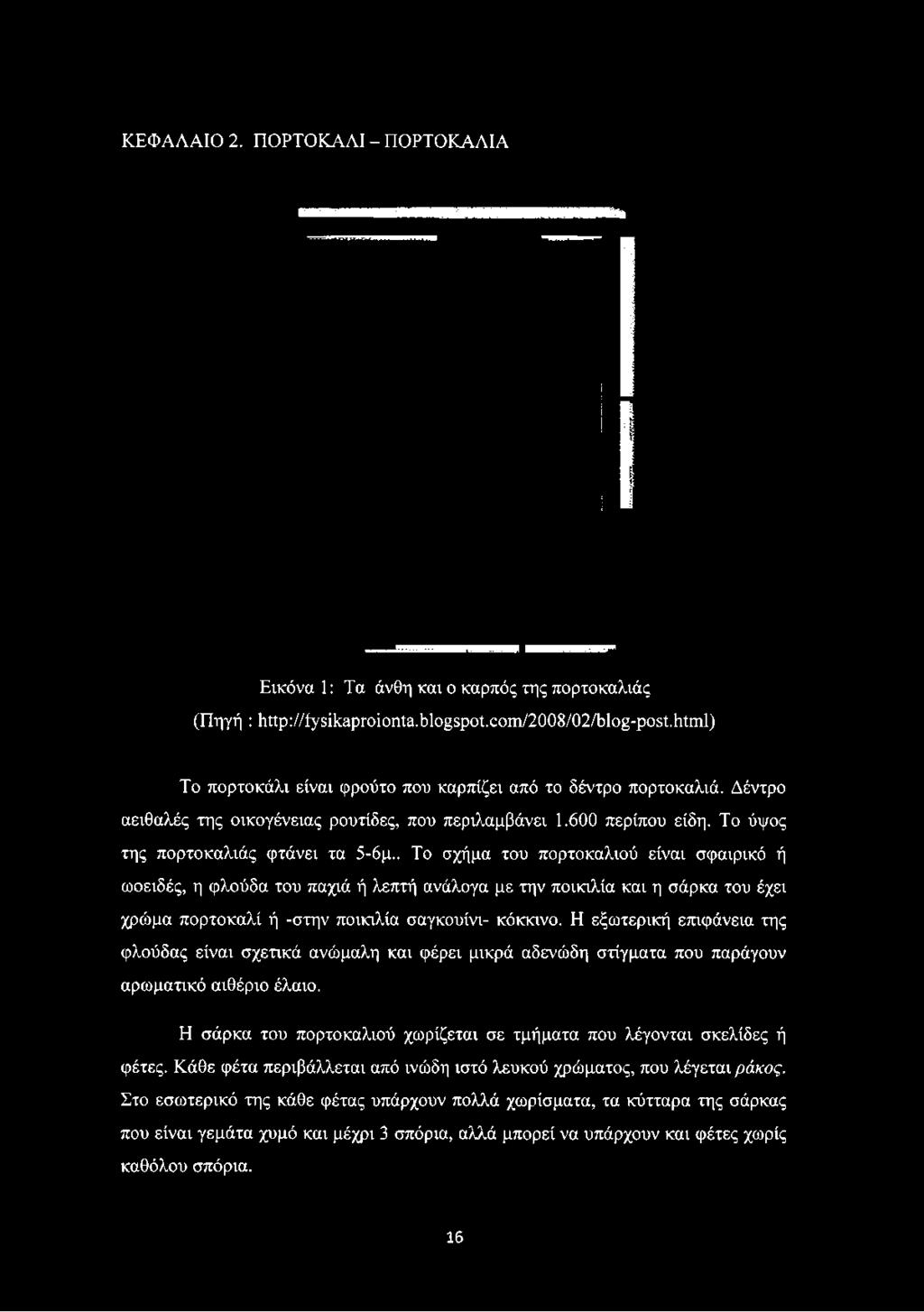 ΚΕΦΑΛΑΙΟ 2. ΠΟΡΤΟΚΑΛΙ - ΠΟΡΤΟΚΑΛΙΑ Εικόνα 1: Τα άνθη και ο καρπός της πορτοκαλιάς (Πηγή : http://iysikaproionta.blogspot.com/2008/02/blog-post.