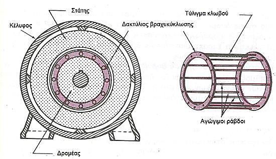 δημιουργία δύναμης Laplace, η οποία είναι το αίτιο για την ανάπτυξη ροπής στρέψεως. Σχήμα 1.1: Τομή κινητήρα βραχυκυκλωμένου κλωβού και δομή του δρομέα. Σχήμα 1.2: Τομή κινητήρα δακτυλιοφόρου δρομέα.