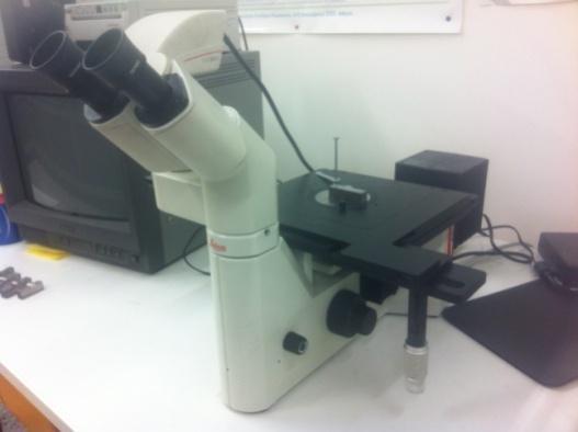Κεφάλαιο 6 ο : Πειραματική Διαδικασία Τέλος, το μικροσκόπιο διαθέτει ειδική τράπεζα τριών βαθμών