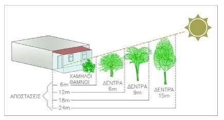 36 Εικ. 3.1 κίαση νότιας όψης κτιρίου από φυλλοβόλο δέντρο, χωρίς να παρεμποδίζεται σημαντικά ο ηλιασμός του τη χειμερινή περίοδο [9] Ιδιαίτερη προσοχή απαιτείται στην επιλογή της κατάλληλης φύτευσης.