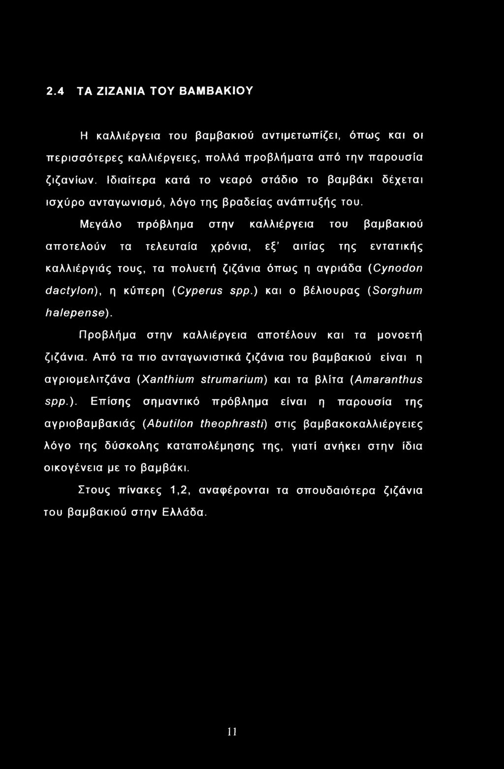 Από τα πιο ανταγωνιστικά ζιζάνια του βαμβακιού είναι η αγριομελιτζάνα (Xanthium strumarium) 