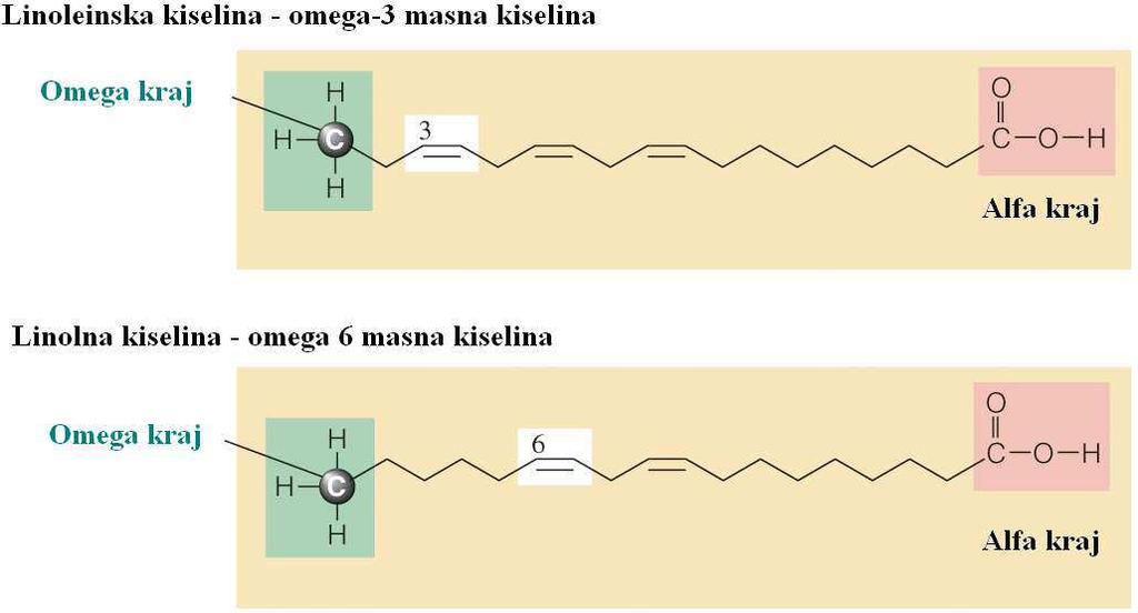 MK sa kratkim lancem ( C6) ispoljavaju tendenciju većeg isparavanja, tako se sirćetna, propionska i buterna kiselina zajednički nazivaju isparljive masne kiseline (IMK ili VFA) srednji lanac (C8-10),