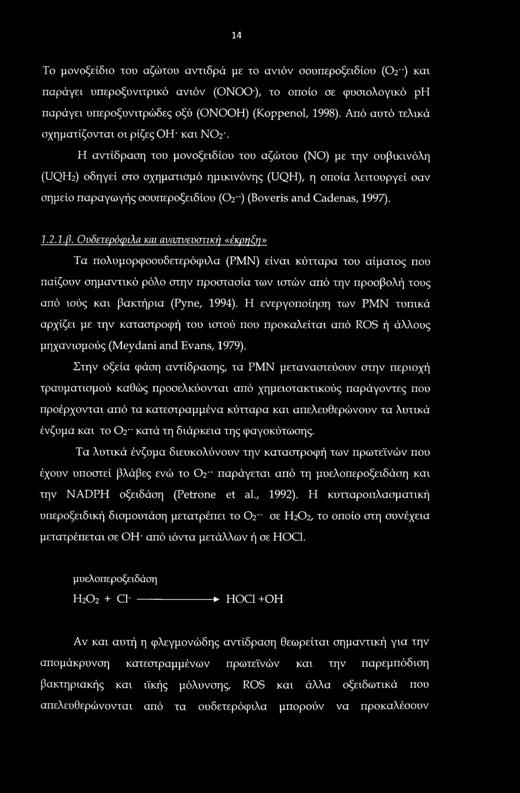 Η αντίδραση του μονοξειδίου του αζώτου (NO) με την ουβικινόλη (UQTh) οδηγεί στο σχηματισμό ημικινόνης (UQH), η οποία λειτουργεί σαν σημείο παραγωγής σουπεροξειδίου (02") (Boveris and Cadenas, 1997).