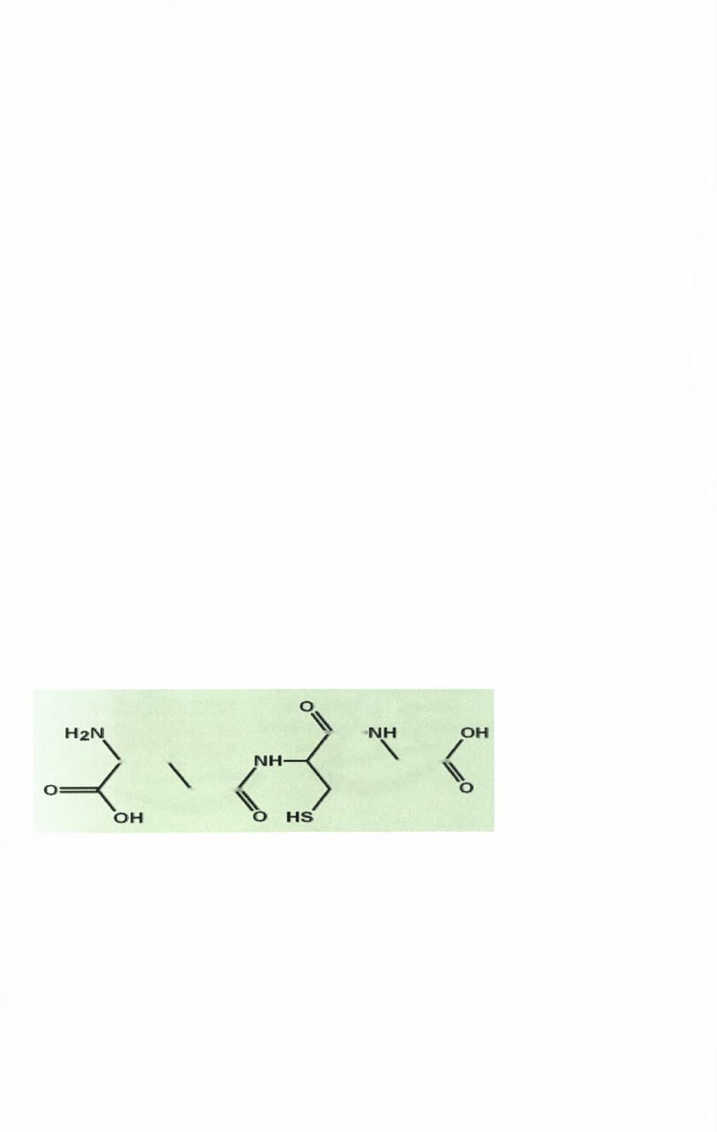 23 1.4.2. β. Βιταμίνη C Η βιταμίνη C παίρνει μέρος στην απομάκρυνση της αμμωνίας και έχει ισχυρή αντιοξειδωτική δράση. 1.4.2. γ.