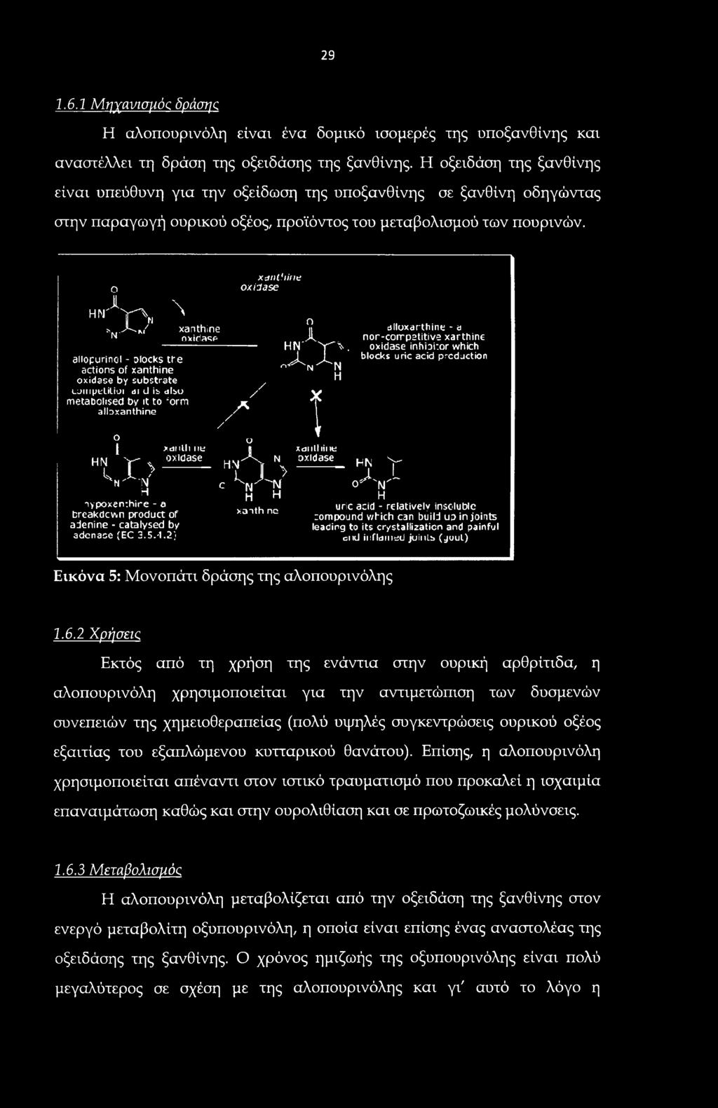 .r> \ xanthine amopurinol - blocks the actions of xanthine oxidase by substrate LuriipeliUoi di d is also metaboiiseci by it to "orm allaxanthine 0 1 x> HN kh' N H oypoxenthire - a breakdown product