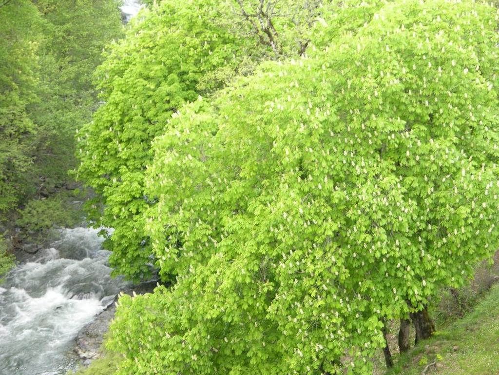 ΕΘΝΙΚΟ ΚΑΙ ΚΑΠΟΔΙΣΤΡΙΑΚΟ ΠΑΝΕΠΙΣΤΗΜΙΟ ΑΘΗΝΩΝ ΤΜΗΜΑ