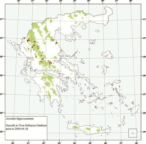 613-6 Εικόνα 155.