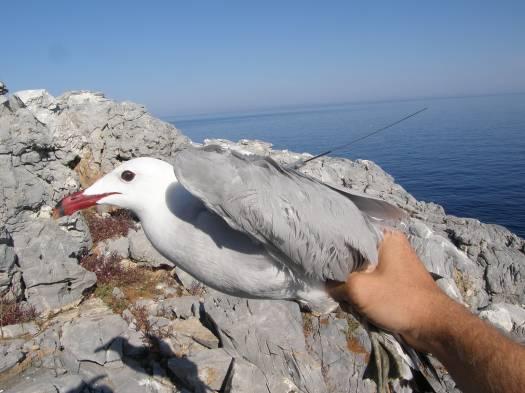 την στεριά 3/3 J.