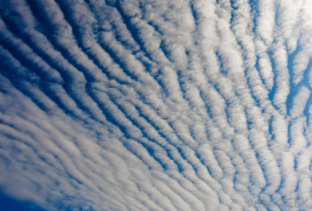 54 Θυσανοσωρείτες - Cirrocumulus (Cc) Είναι λεπτά, εκτεταμένα και ομοιόμορφα στρώματα ψηλών νεφώσεων. Ανήκουν στην κατηγορία των σωρειτόμορφων σύννεφων.