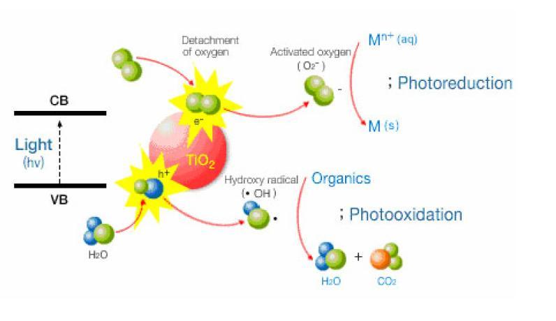 Συγκεκριμένα, έχει αποδειχθεί, από μεγάλο αριθμό επιστημονικών εργασιών, ότι το διοξείδιο του τιτανίου αποτελεί έναν εξαιρετικό ημιαγωγό για την αποδόμηση οργανικών και ανόργανων ενώσεων, τόσο στην