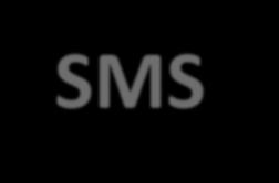 SMS - Safety Management System ICAO ANNEX 19: Safety Management System (SMS).