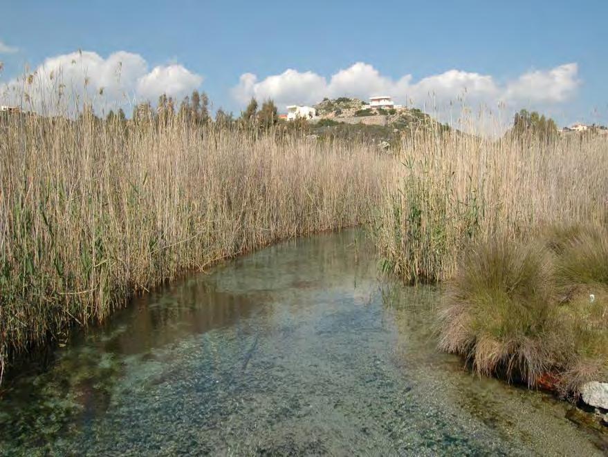 Πηγή και έλος Αλμυρού