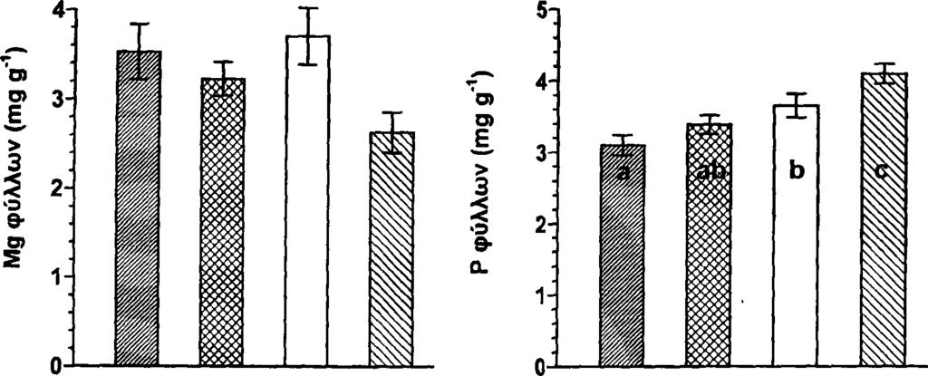 Επίδραση του ΝΓστα θρεπτικά στοιχεία των φύλλων Και στα δύο πειράματα, η αυξανόμενη χορήγηση του αμμωνίου δεν είχε καμία επίδραση στις συγκεντρώσεις των βασικών θρεπτικών κατιόντων στα φύλλα του