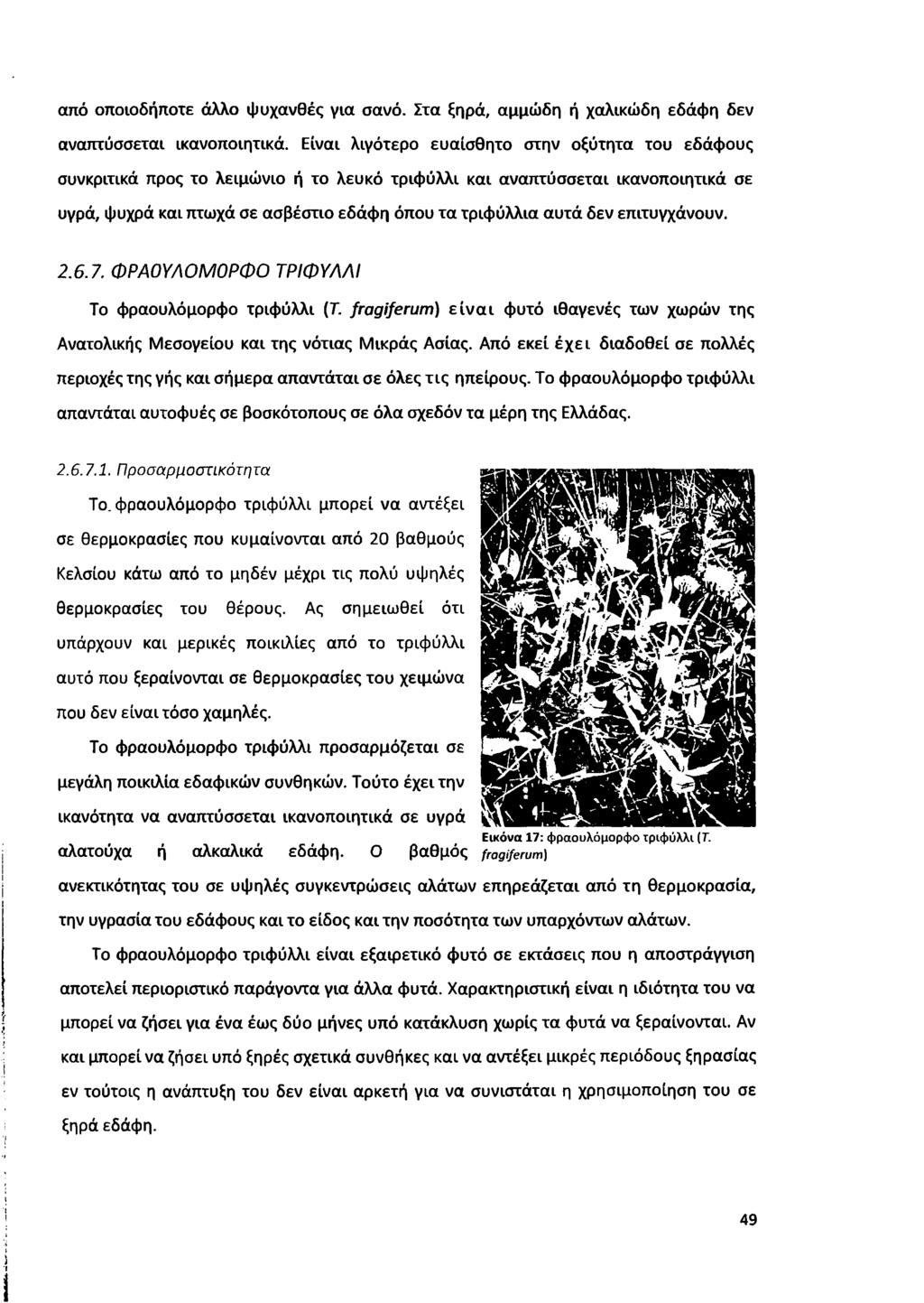 από οποιοδήποτε άλλο ψυχανθές για σανό. Στα ξηρά, αμμώδη ή χαλικώδη εδάφη δεν αναπτύσσεται ικανοποιητικά.