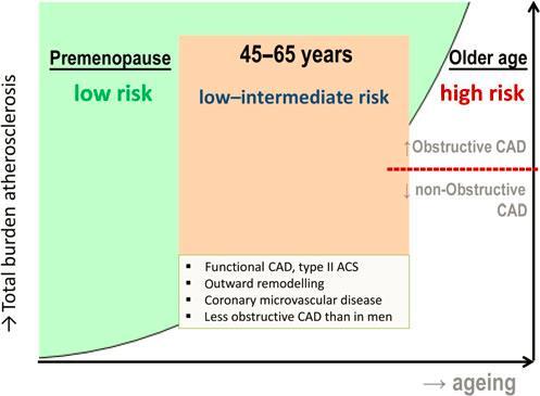 Figure 2 Development of ischaemic heart disease in women.