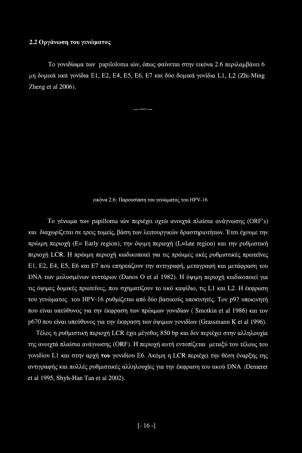 6: Παρουσίαση του γενώματος του HPV-16 Το γένωμα των papilloma ιών περιέχει οχτώ ανοιχτά πλαίσια ανάγνωσης (ORF s) και διαχωρίζεται σε τρεις τομείς, βάση των λειτουργικών δραστηριοτήτων.