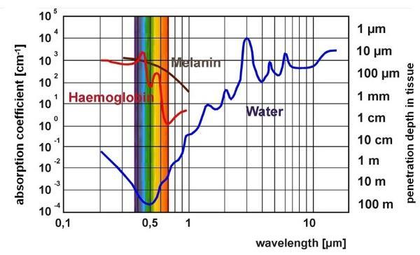 Σχήμα 2.3 Γράφημα απορρόφησης βιολογικών ιστών. Απορρόφηση από το νερό, τη μελανίνη και την αιμοσφαιρίνη http://www.intechopen.
