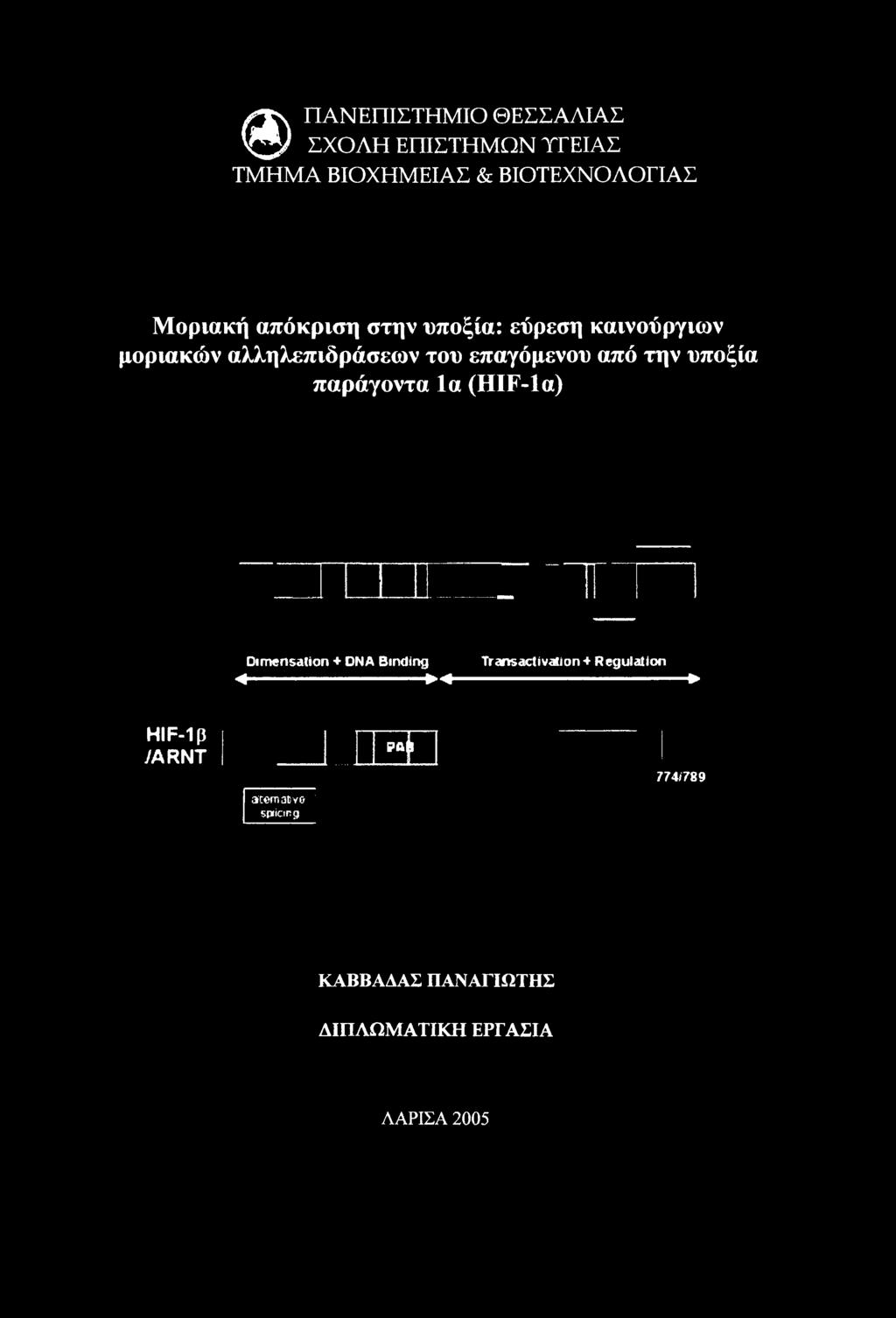 DNA Binding Transactivation + Regulation --------------------------------