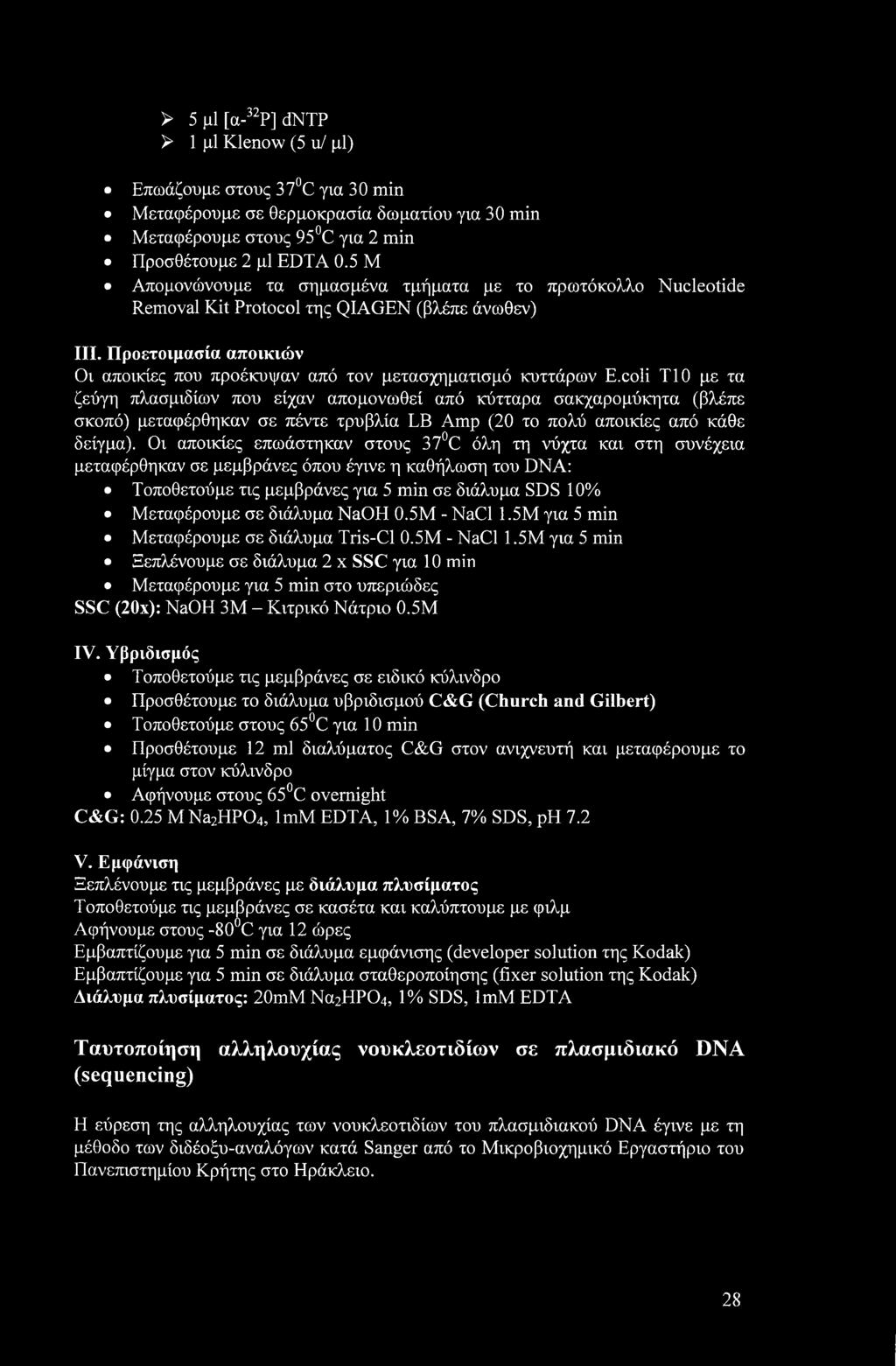 coli Τ10 με τα ζεύγη πλασμιδίων που είχαν απομονωθεί από κύτταρα σακχαρομύκητα (βλέπε σκοπό) μεταφέρθηκαν σε πέντε τρυβλία LB Amp (20 το πολύ αποικίες από κάθε δείγμα).