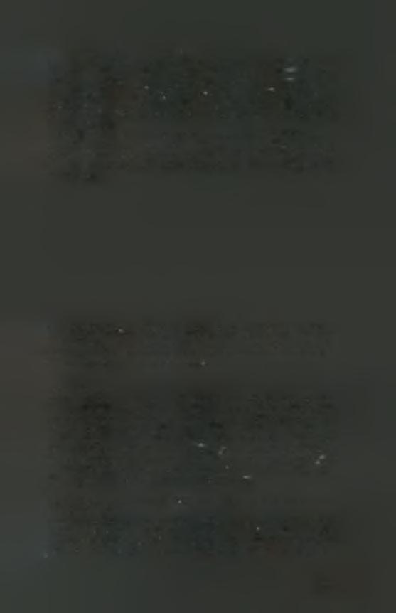 Το πρώτο ήταν Μ9 +Leu+Ura+His και στο οποίο αναμένοταν να μεγαλώνουν μόνο οι αποικίες που περιείχαν το πλασμίδιο "δόλωμα", Το δεύτερο ήταν Μ9 +Trp+Ura+His και αναμενόταν να μεγαλώνουν οι αποικίες με