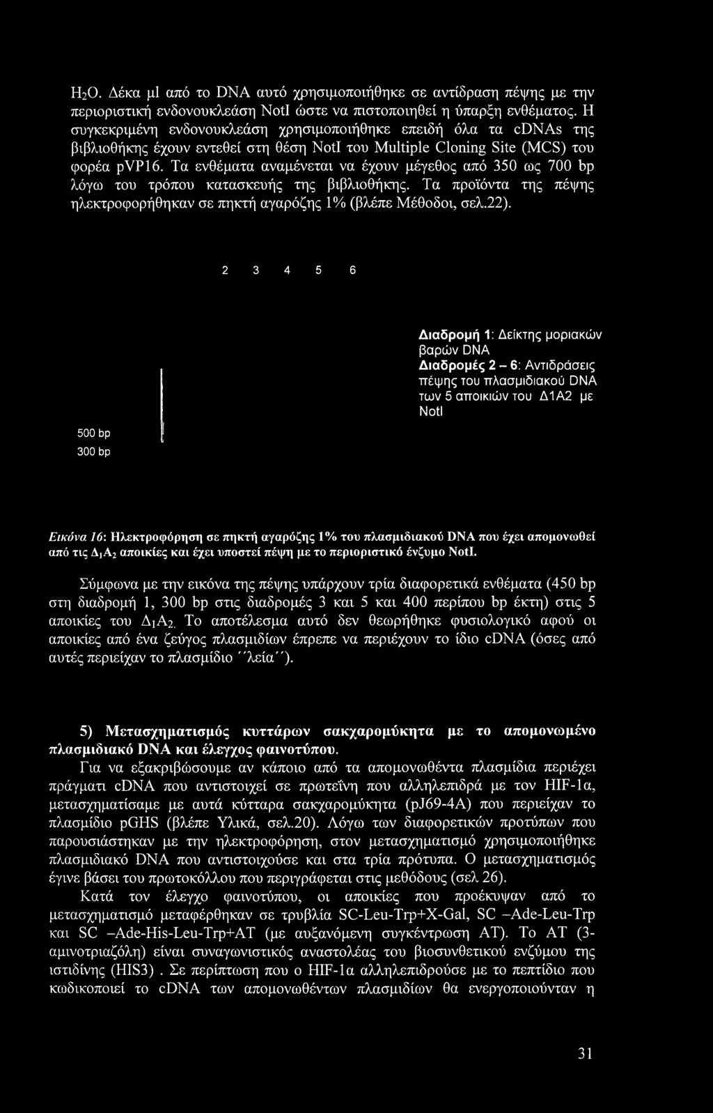 πλασμιδιακού DNA που έχει απομονωθεί από τις AjA2 αποικίες και έχει υποστεί πέψη με το περιοριστικό ένζυμο Notl.