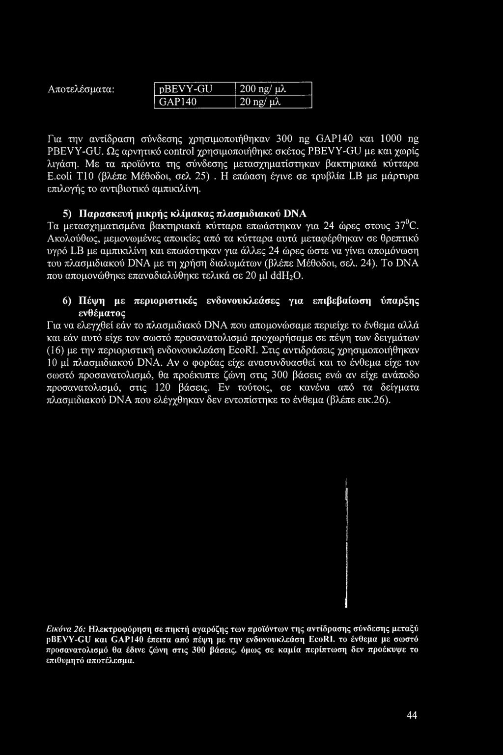 (βλέπε Μέθοδοι, σελ. 24). To DNA που απομονώθηκε επαναδιαλύθηκε τελικά σε 20 μΐ ddeho.