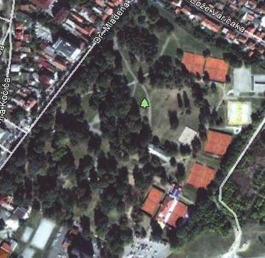 Фенологија цвјетања три врсте липе (Tilia sp.) На подручју града Бања Луке Гласник Шумарског факултета Универзитета у Бањој Луци, 2014, бр. 20, стр.