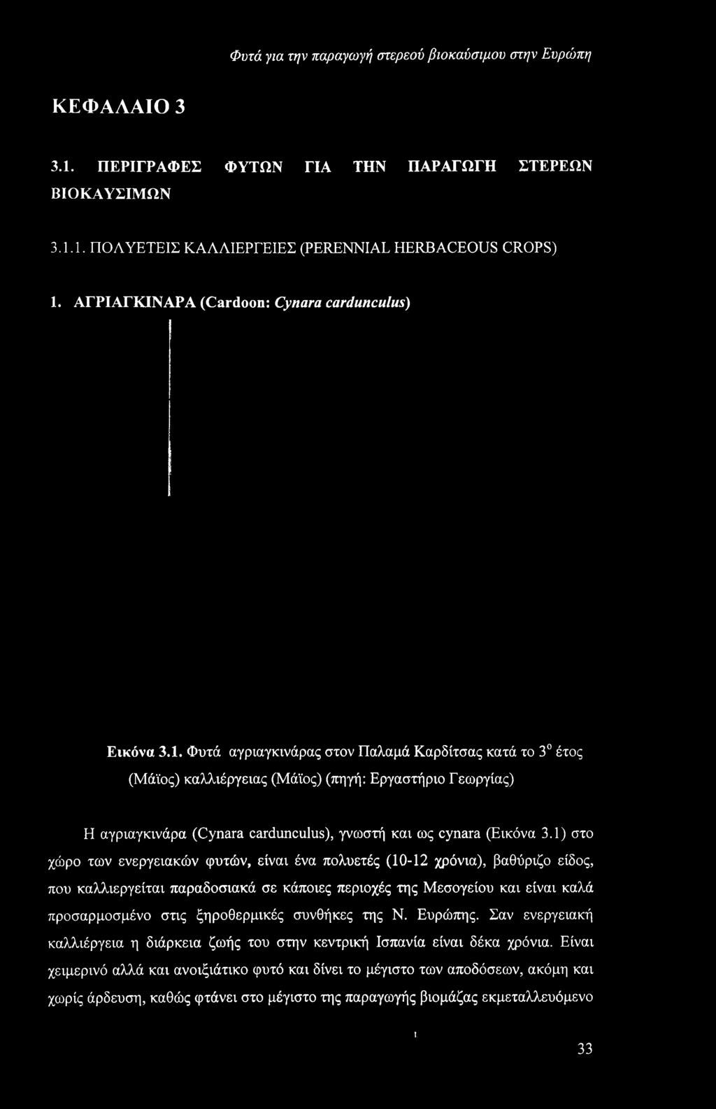 1) στο χώρο των ενεργειακών φυτών, είναι ένα πολυετές (10-12 χρόνια), βαθύριζο είδος, που καλλιεργείται παραδοσιακά σε κάποιες περιοχές της