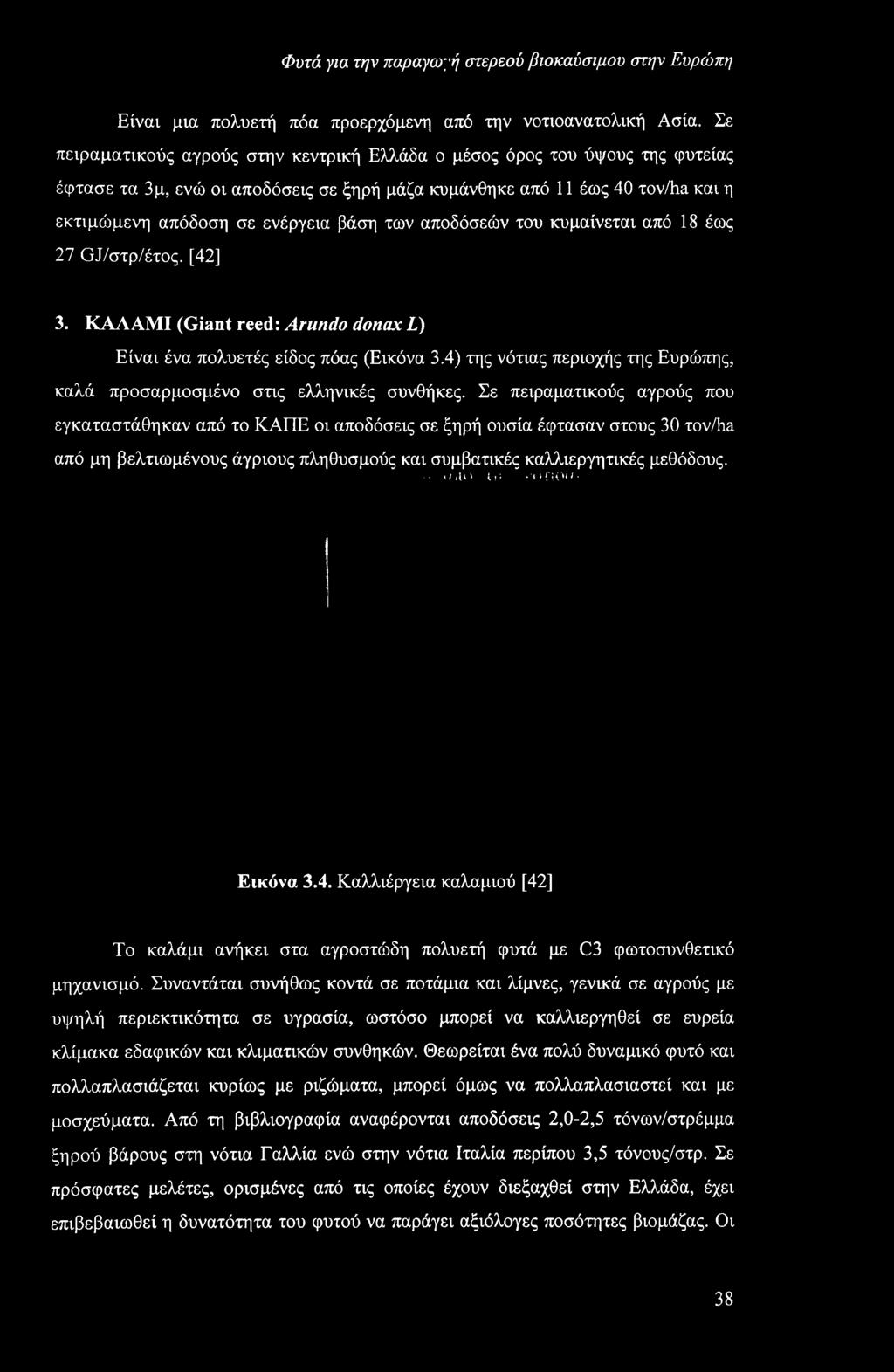 των αποδόσεών του κυμαίνεται από 18 έως 27 GJ/στρ/έτος. [42] 3. ΚΑΛΑΜΙ (Giant reed: Arundo donax L) Είναι ένα πολυετές είδος πόας (Εικόνα 3.