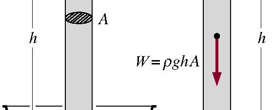 ιατομή σωλήνα) W = m g = ρ