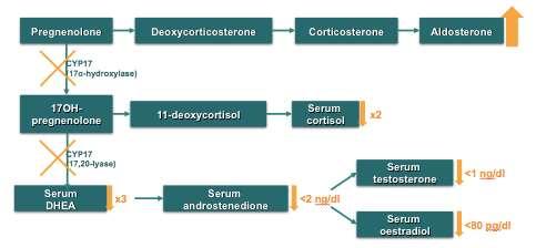 Abiraterone: αναστέλλει μεν την σύνθεση των