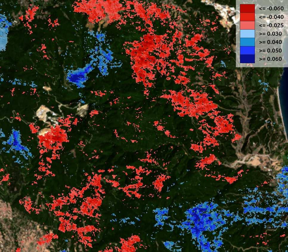 Παρατηρείται στο χάρτη των μετακινήσεων από S1Α ότι εμφανίζονται αρνητικές τιμές μετακίνησης της τάξης των -3cm σε τμήματα της δασικής έκτασης για τα οποία δεν επιβεβαιώνεται ότι υπάρχει μεταβολή από