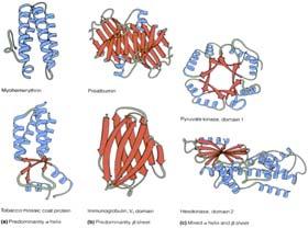 usedni lanci su antiparalelni Primer ibroin svile lobularni proteini ly la ili er rukturne karakteristike ećina ostaka polarnih