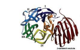 Kazein, rezervni protein u mleku